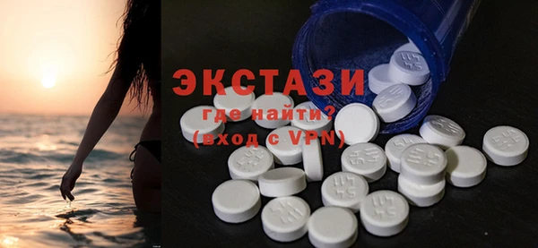 шишки Няндома