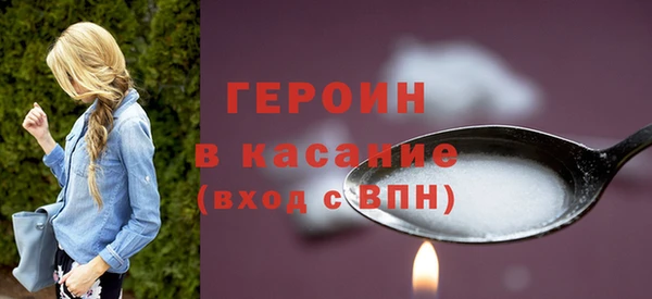 шишки Няндома
