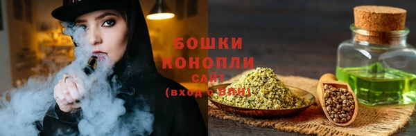 шишки Няндома