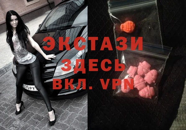 шишки Няндома