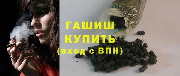 шишки Няндома