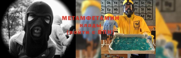 шишки Няндома