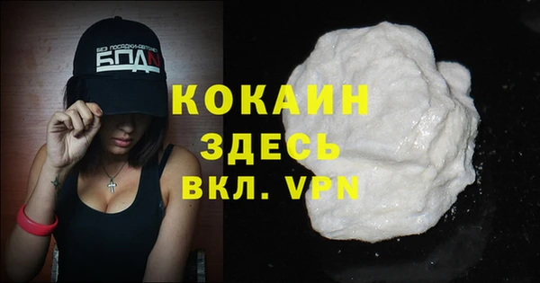 шишки Няндома