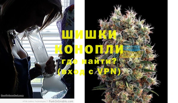 МДПВ Нефтегорск