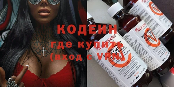 шишки Няндома