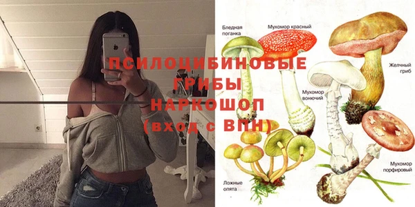 СК Новокубанск