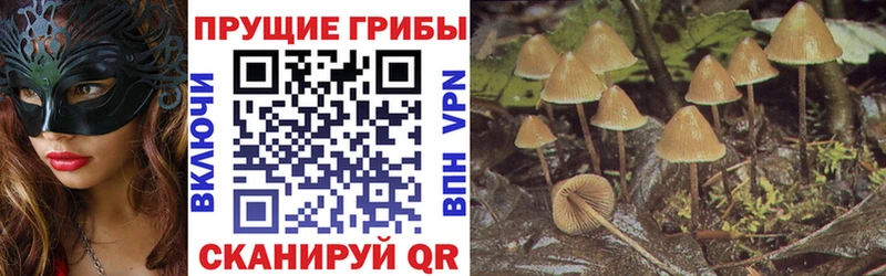 гидра ссылки  купить наркотики сайты  Ленск  Галлюциногенные грибы мицелий 