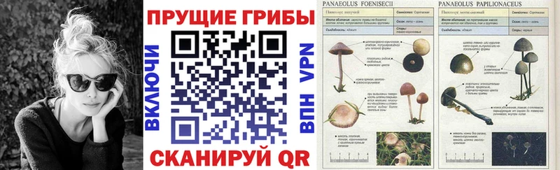 Псилоцибиновые грибы ЛСД Ленск